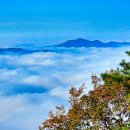 구름바다
