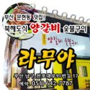 [20/21] 변화된 SALOMON 스키들 이미지