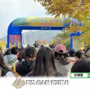 위라리 | 강원도 축제 화천 산소길 숲으로다리 걷기 좋은길 트레킹코스 행사 후기