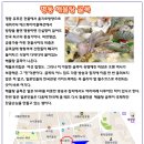 명동해물탕