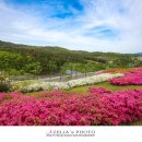 화랑마을-4 이미지