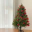 강릉멍릉도원애견펜션 이미지