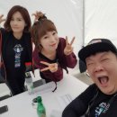 다정다감, 봄 이미지
