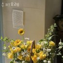 수피오레 이미지