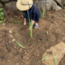 더함농장 이미지