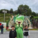 군민의날 | 2025 보성다향대축제 후기(군민의 날, 보성녹차마라톤, 어린이날 행사)