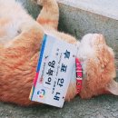 인성 이미지