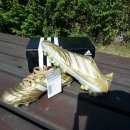 골드 캣 이미지