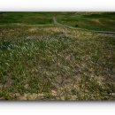 모래언덕 이미지