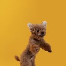 해피한 멍 이미지