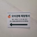 농산물도매시장관리과(팔용) | 농산물도매시장 모의경매 체험 후기