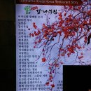 감나무집 이미지