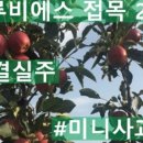 상일농원 이미지