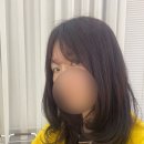 217 | [목포]탈색없이 염색모, 레드브라운 217헤어살롱 만족후기