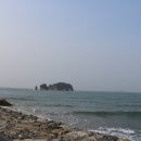 장고섬 Daum카페