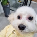 스파 앤 컷 이미지