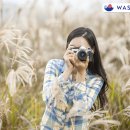 멋쟁이 세탁 이미지