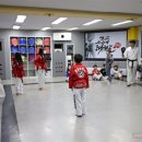 용인대 태권도장 이미지