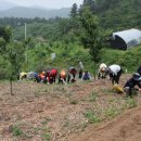 옥산면사무소 이미지