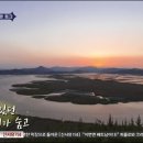 순천만습지 이미지