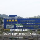 남친 1994 | 이케아 70% 세일 시작! IKEA 지점별 특징과 우리가 몰랐던 이케아몰에 대한 비하인드 스토리