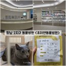 에코동물병원 | [경기/화성] 향남 2지구 동물병원 &#34;조이앤동물병원&#34; 내돈내산(?) 솔직후기 (feat. 내새꾸 고양이 에코)