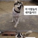 같이 티스토리