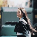 컬렉션(Collection)