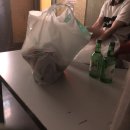 카라 노래연습장 이미지