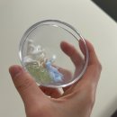 주일프라자 | 성복동 피부관리샵 애몽스킨케어 물광관리후 대만족후기