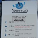 카미플랙스 네이버블로그