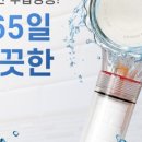 클린펌