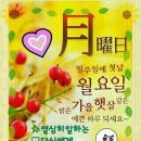 색스폰세상 이미지