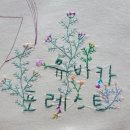 카포레스트2