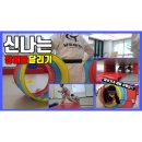 쌍용태권도 이미지