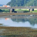 불암체육공원 이미지