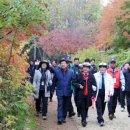 정수 이미지