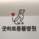 24시 창원2차동물의료원 이미지