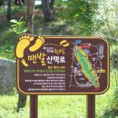 천년숲 유아숲체험원 이미지