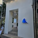 블루샥덕포점