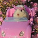 중교 | 떠난 행복했던 경주여행 후기! (명성수산, 모카커피...호텔공간, 동궁과월지, 이중교, 삼봉이해물칼국수...