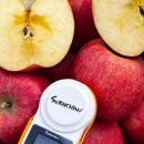 사오리농장 이미지