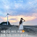 서해해상풍력 | 안산 탄도항 일몰, 탄도바닷길 물떼 시간 부터 누에섬까지 서울근교 노을 명소