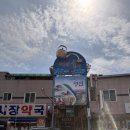 단임길 - 정선군 5일장길 41-6 | 정선 5일장 방문기｜성원식당 모듬전, 곤드레막걸리, 단임길 고로쇠리카노, 수리취떡 후기