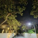 단풀빌라 이미지