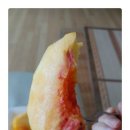 금광농장 이미지