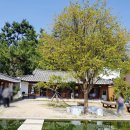 인지솔카페 이미지