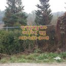 여주한강공인중개사사무소 이미지