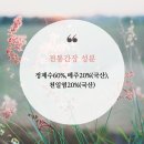 진해구청 안전건설과 | 너만 모른 양조간장 진간장 차이 and 국간장 이라 쓰지 말라 하였다