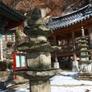 사자사지 이미지